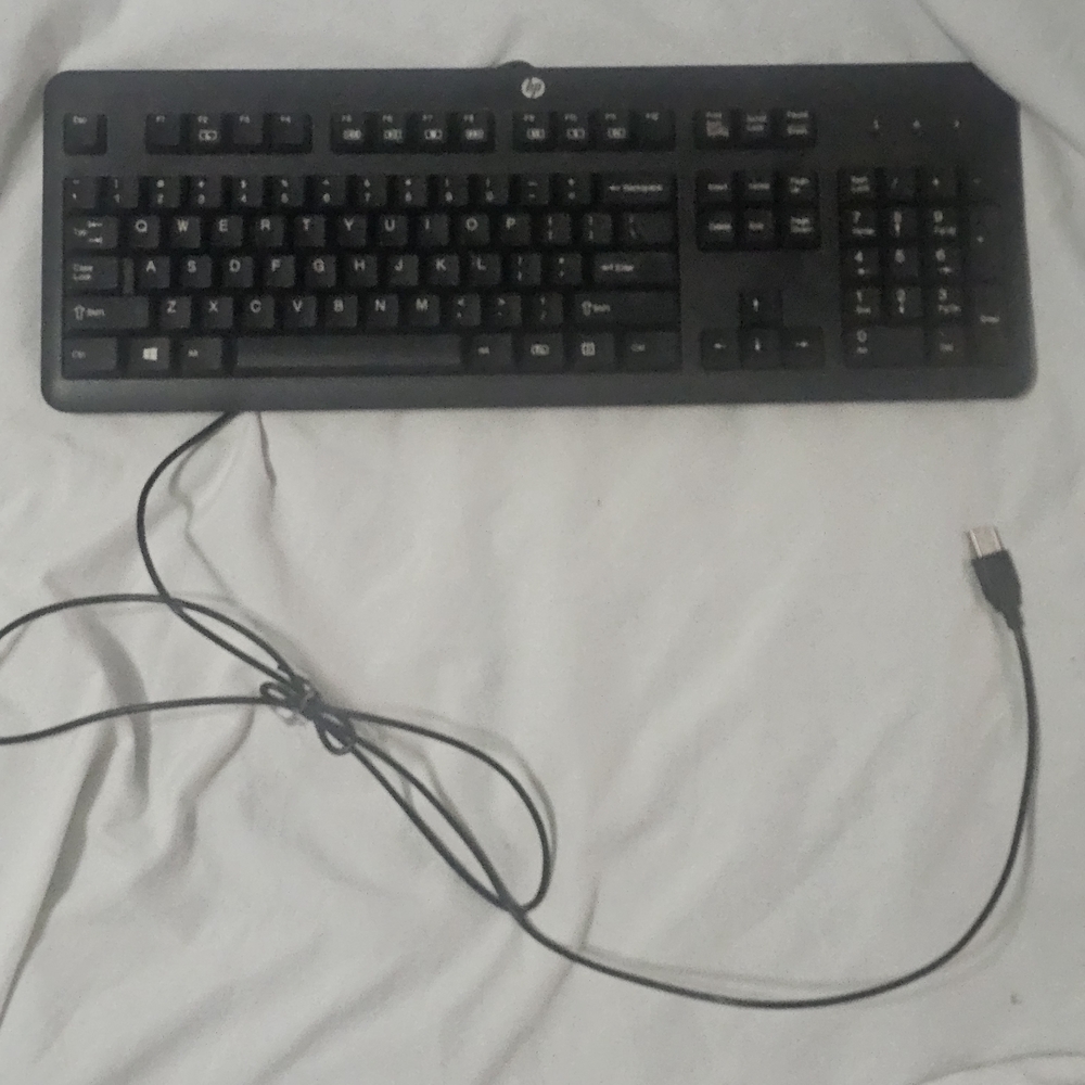 HP Wired Keyboard in Black